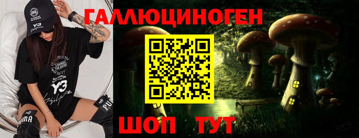 Сергиев Посад  Галлюциногенные грибы мицелий  Вход с VPN 