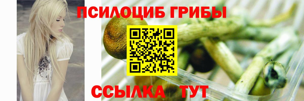 Галлюциногенные грибы прущие грибы Сергиев Посад